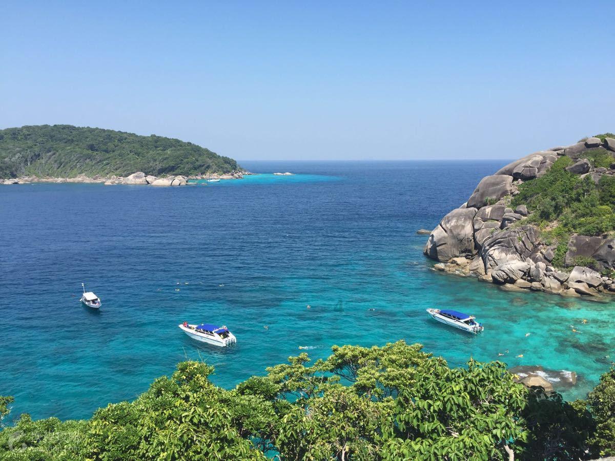 双向奔赴 沈阳打造央地合作新样板